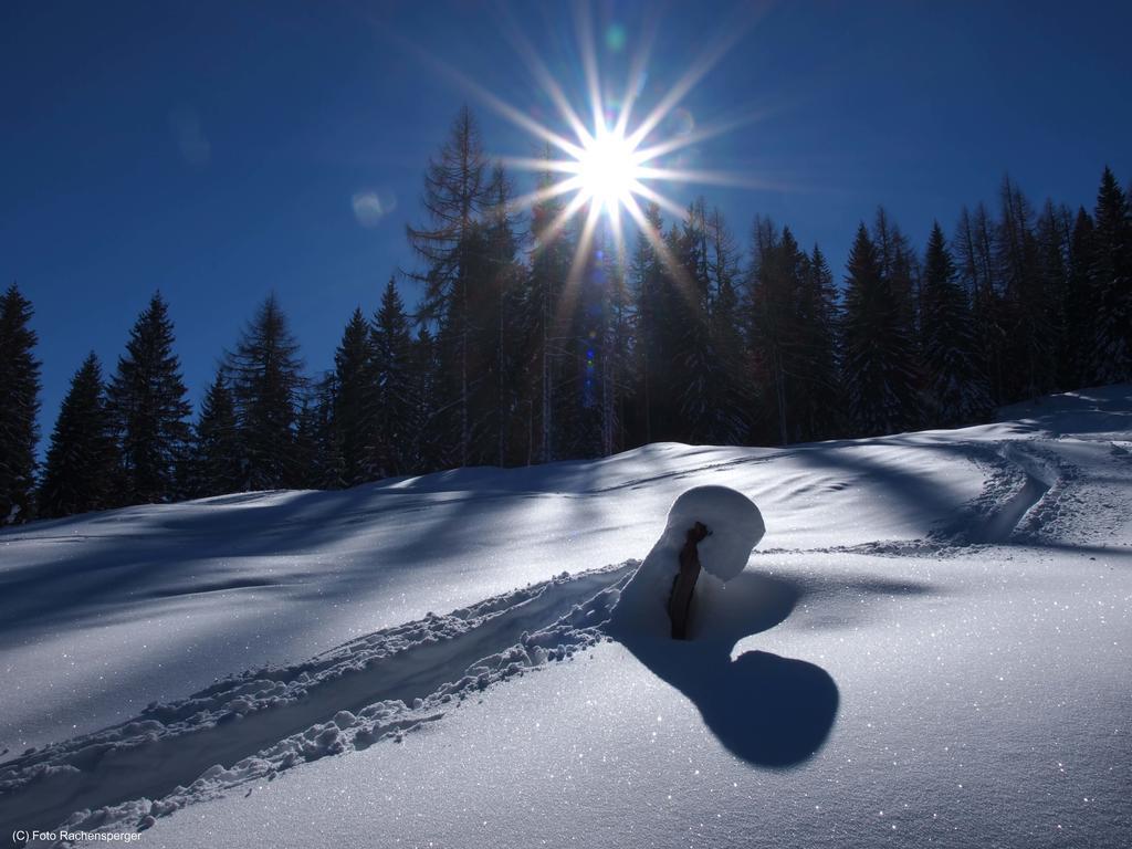 Gasthof Pesbichl Goldegg Buitenkant foto